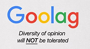 Goolag T-Shirt - Diversity of Opinion will not be tolerated